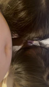 JkYYDS你永远无法抗拒穿上jk的两条母狗（秒了）